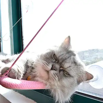 חתול הביתה לנוח בערסל מחמד מושב חלון רכוב סופר כוס יניקה תלוי חתול הכיסא רך מיטה חמה חתלתול אספקה